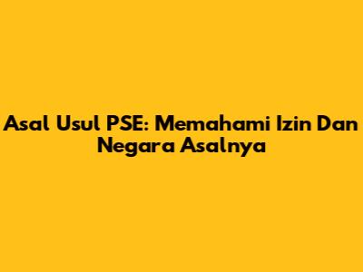 Asal Usul PSE: Memahami Izin Dan Negara Asalnya