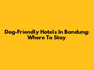 Dog-Friendly Hotels In Bandung: Where To Stay