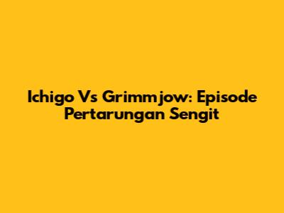 Ichigo Vs Grimmjow: Episode Pertarungan Sengit